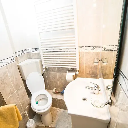 Aviatorilor Business Flat